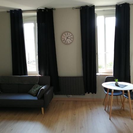 Charmant Appartement Muret Centre Bagian luar foto