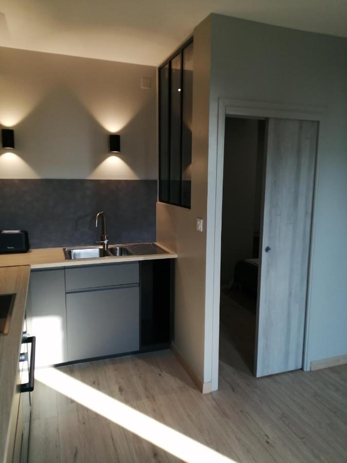 Charmant Appartement Muret Centre Bagian luar foto